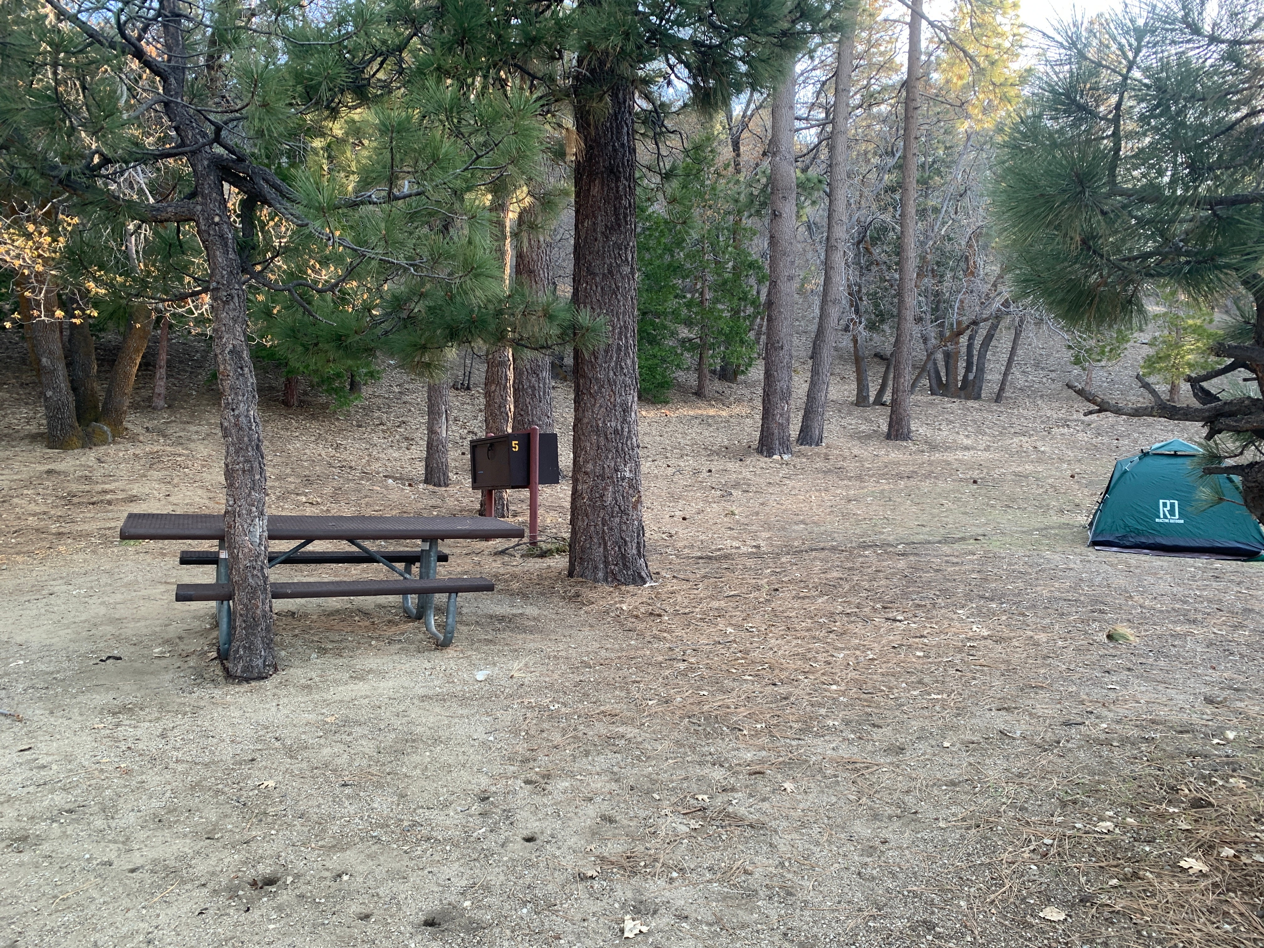 Camper submitted image from Lake Campground - 1