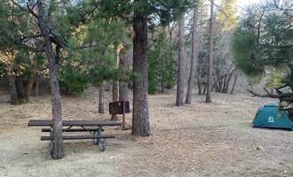 Camping near Starry Night Skoolie Glampsite: Lake Campground, Wrightwood, California