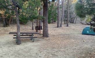 William S.'s photo at Lake Campground near Phelan, CA