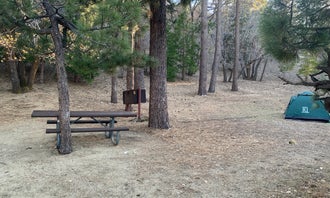 Camping near Peavine Campground: Lake Campground, Wrightwood, California