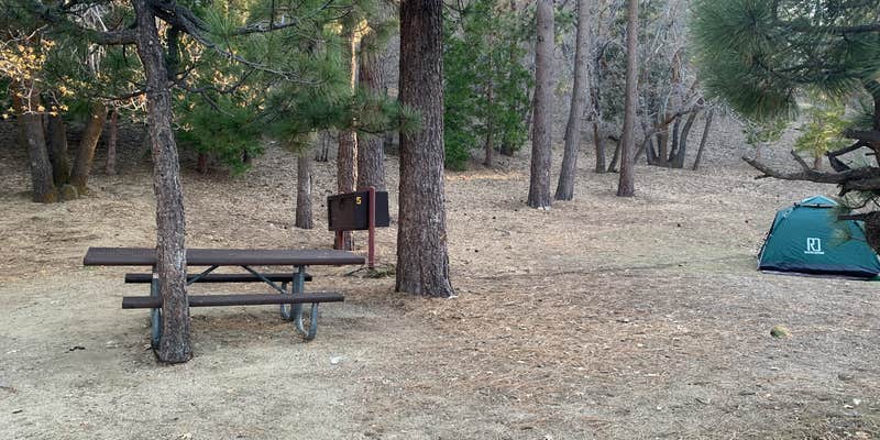 Camper submitted image from Lake Campground