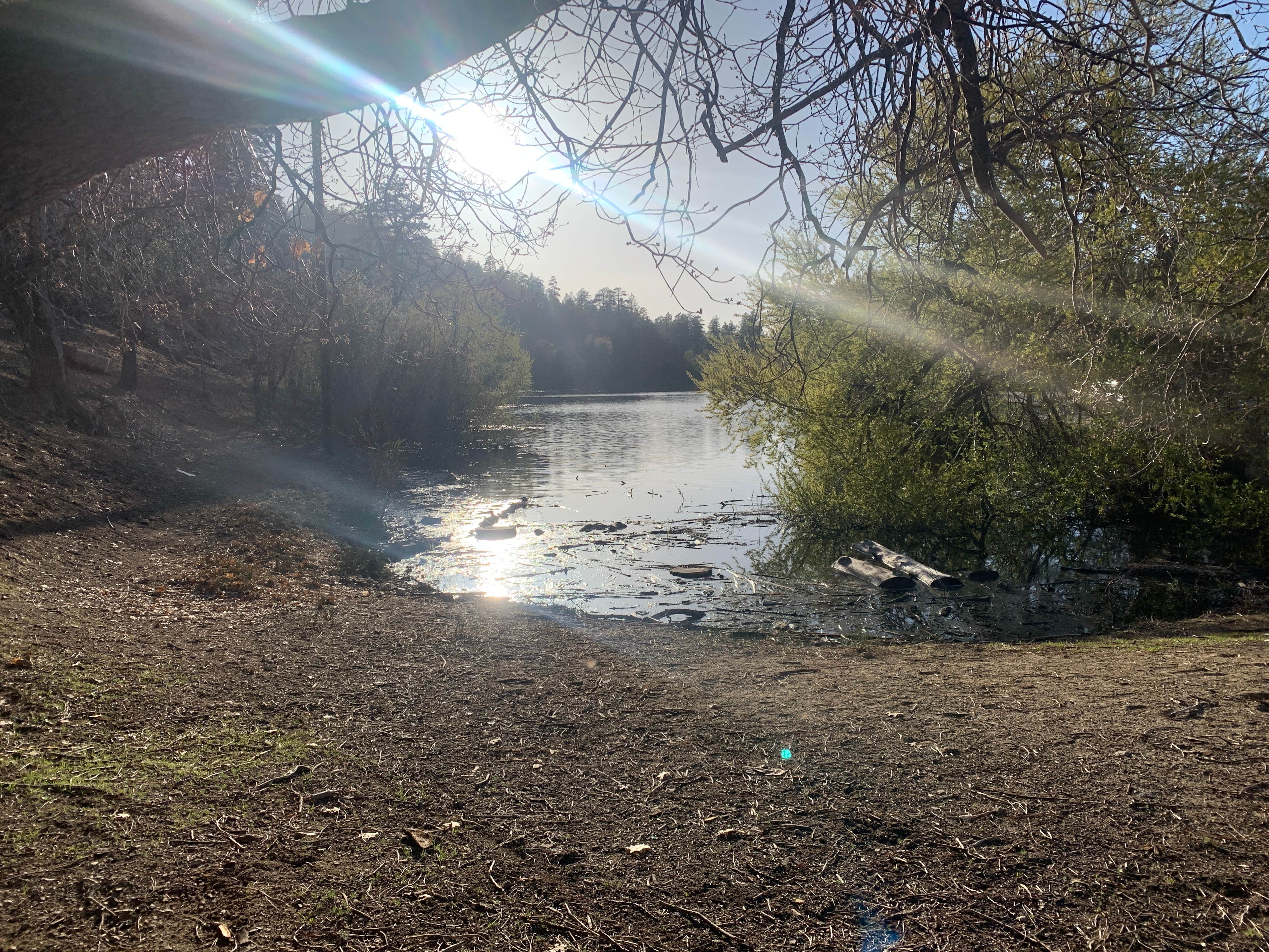 Camper-submitted photo at Lake Campground near Llano, CA
