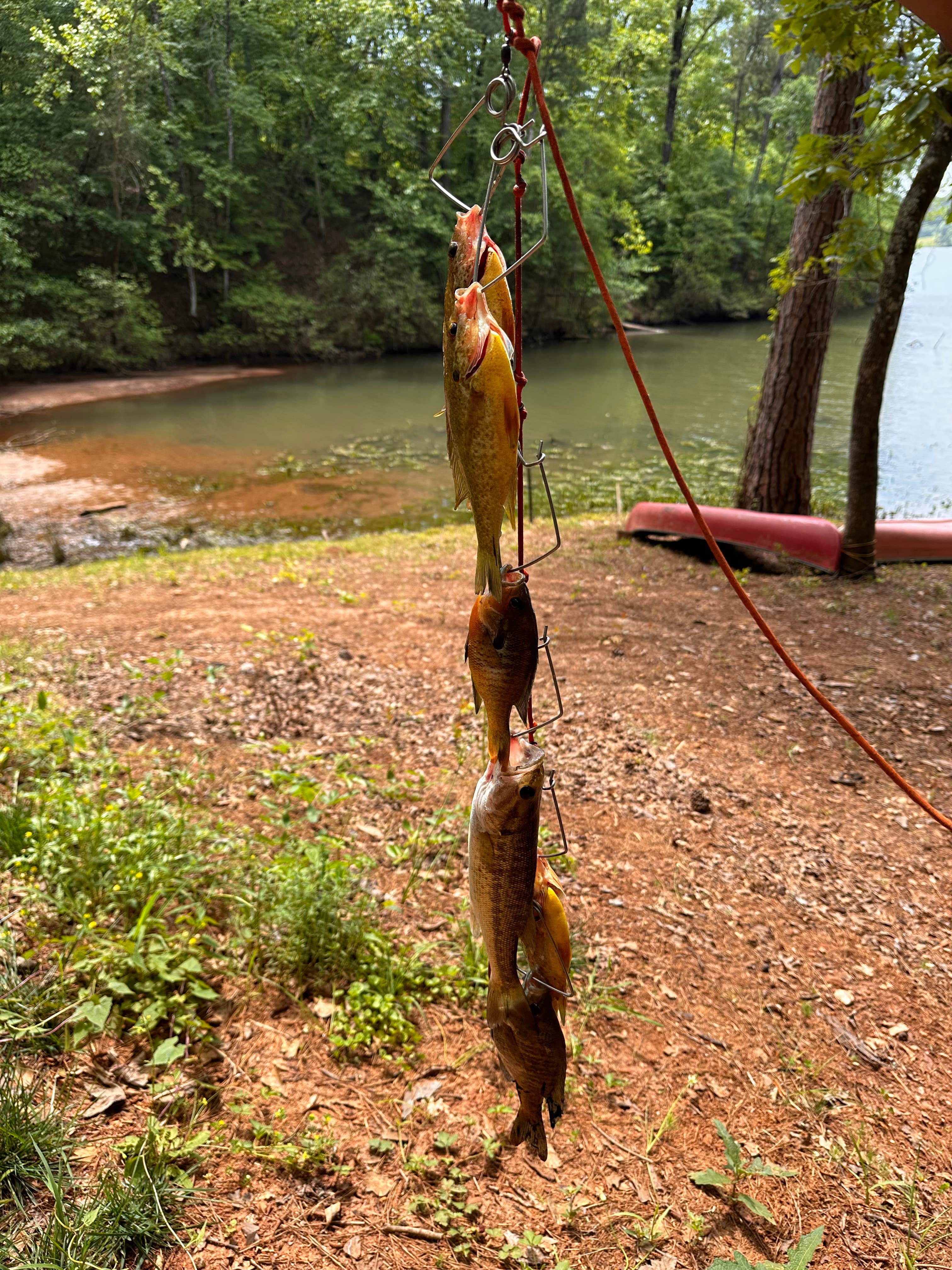 Camper-submitted photo at Hideaway Cove near Tuskegee, AL