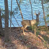 Review photo of Shoal Creek Campground by David W., May 13, 2023