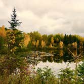 Review photo of Big Bog State Recreation Area by Janet R., October 10, 2018