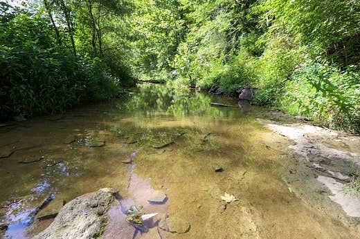 Camper-submitted photo at . near Williamstown, KY