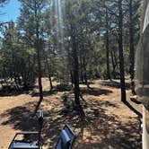 Review photo of Manzano Mountains State Park Campground by Sara B., May 13, 2023