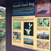 Review photo of Big Bog State Recreation Area by Janet R., October 10, 2018