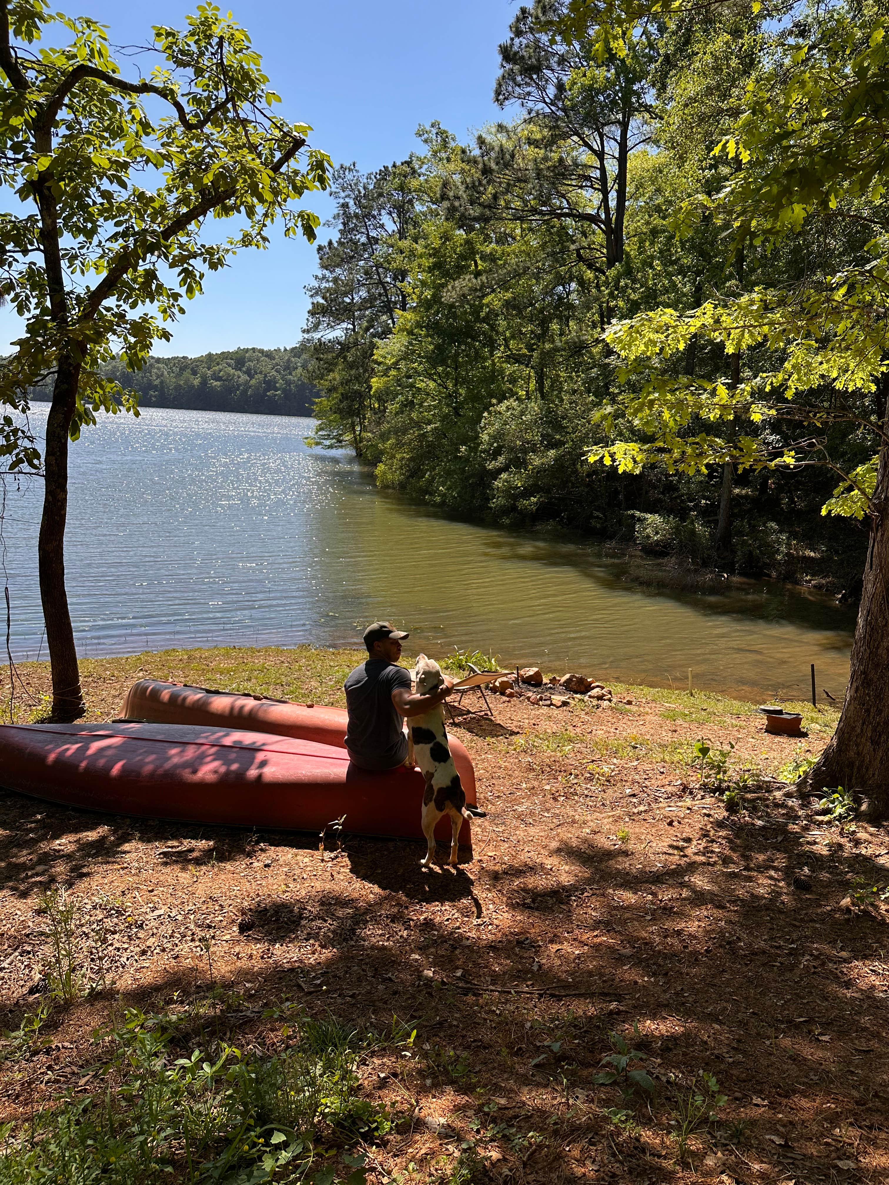 Erica T.'s photo of camping with pets at Hideaway cove near Millbrook, AL