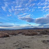 Review photo of Joshua Tree North BLM by Megan D., May 13, 2023