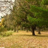 Review photo of Big Bog State Recreation Area by Janet R., October 10, 2018