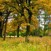 Review photo of Big Bog State Recreation Area by Janet R., October 10, 2018