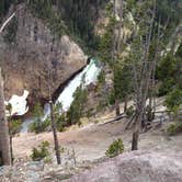 Review photo of Canyon Campground — Yellowstone National Park by Matt S., August 19, 2016