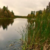 Review photo of Big Bog State Recreation Area by Janet R., October 10, 2018