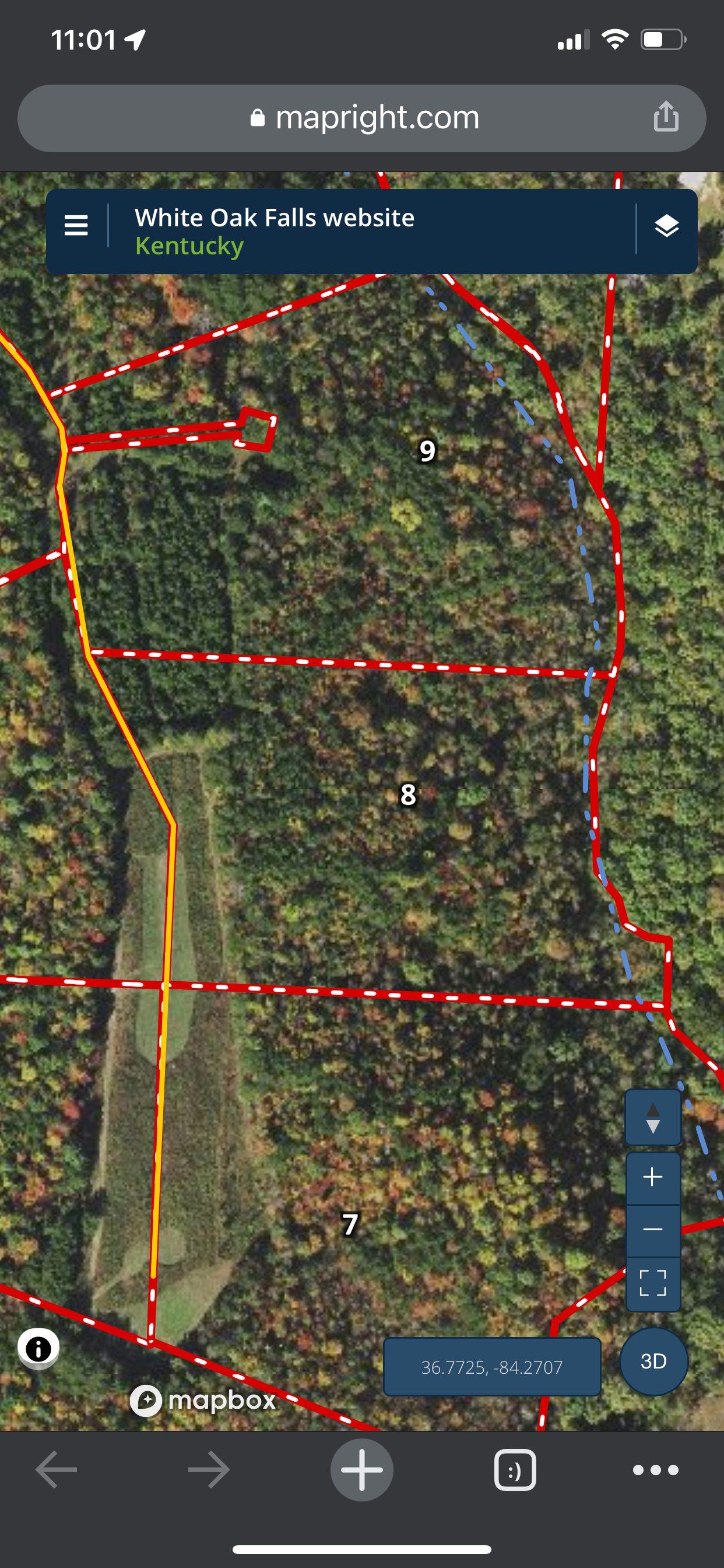 Camper-submitted photo at Tranquility Creek near Laurel River Lake