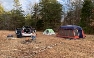 Maurice N.'s photo at Tranquility Creek near Strunk, KY