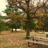 Review photo of Big Bog State Recreation Area by Janet R., October 10, 2018