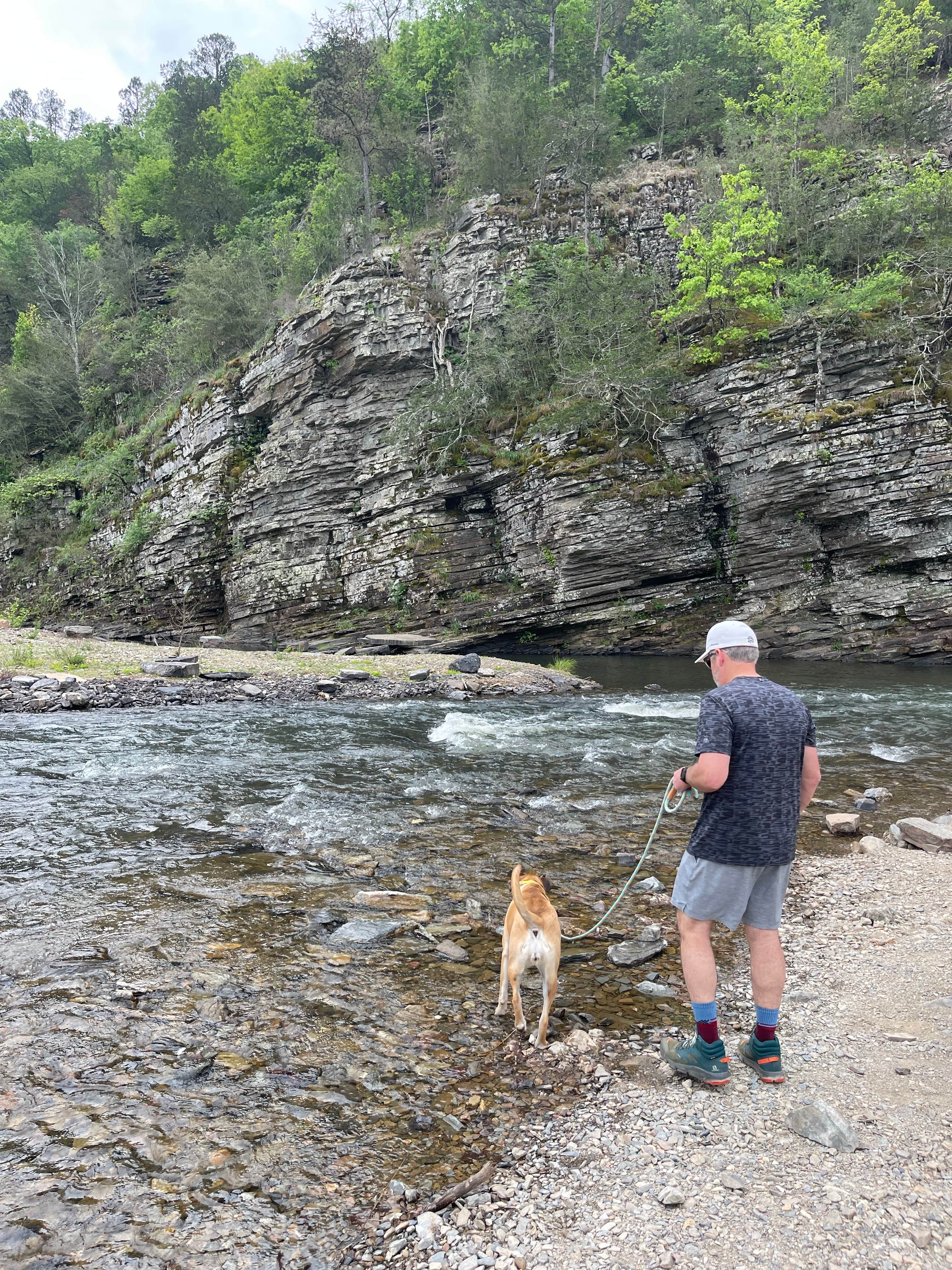 Jennifer O.'s photo of camping with pets at Beavers Bend State Park Campground near Arthur City, TX