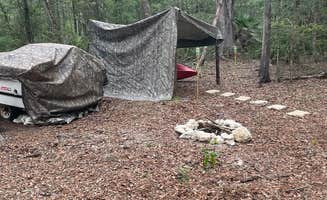 Tremain B.'s photo at The ice cream bean fruit camp near Trenton, FL
