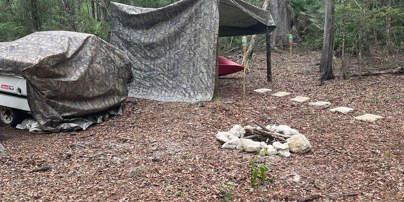 Camper submitted image from The ice cream bean fruit camp