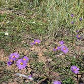 Review photo of Hyde Memorial State Park Campground by Jennifer O., May 13, 2023