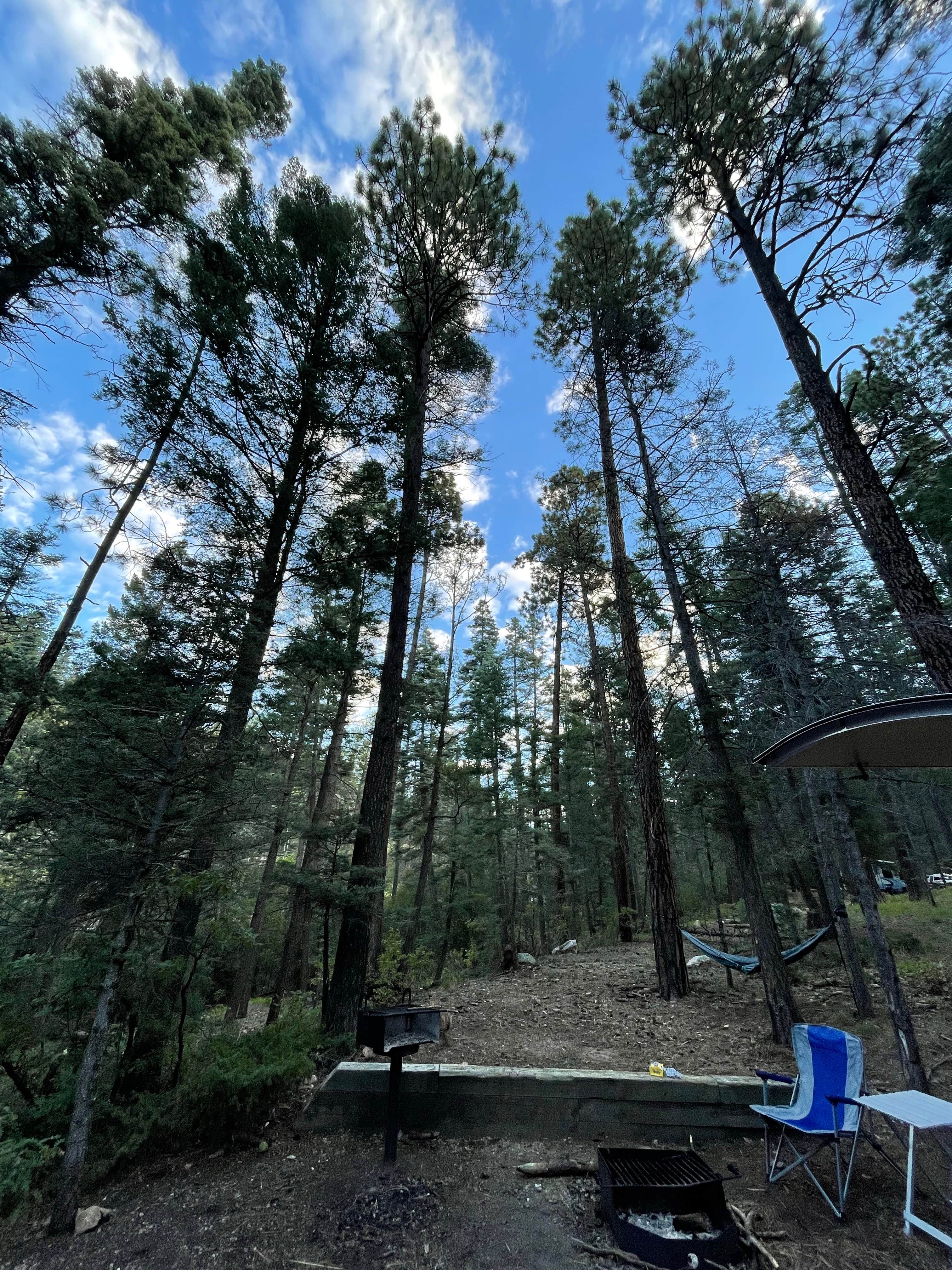 Jennifer O.'s photo at Hyde Memorial State Park Campground near Lamy, NM