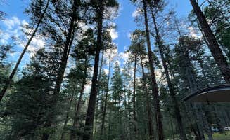 Jennifer O.'s photo at Hyde Memorial State Park Campground near Tesuque, NM