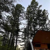 Review photo of Hyde Memorial State Park Campground by Jennifer O., May 13, 2023