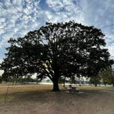 Review photo of Cherokee Landing State Park Campground by Jennifer O., May 13, 2023