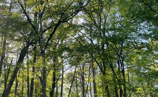 Jennifer O.'s photo at Beavers Bend State Park Campground near De Queen, AR