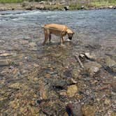 Review photo of Beavers Bend State Park Campground by Jennifer O., May 13, 2023