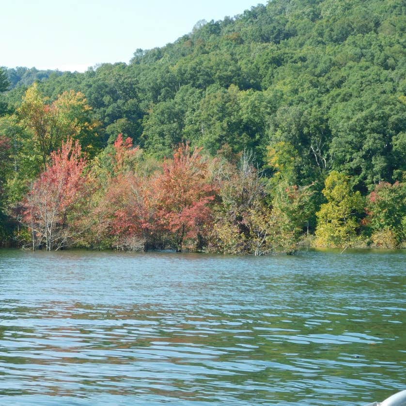 Cave Run Lake Camping | Daniel Boone National Forest, KY