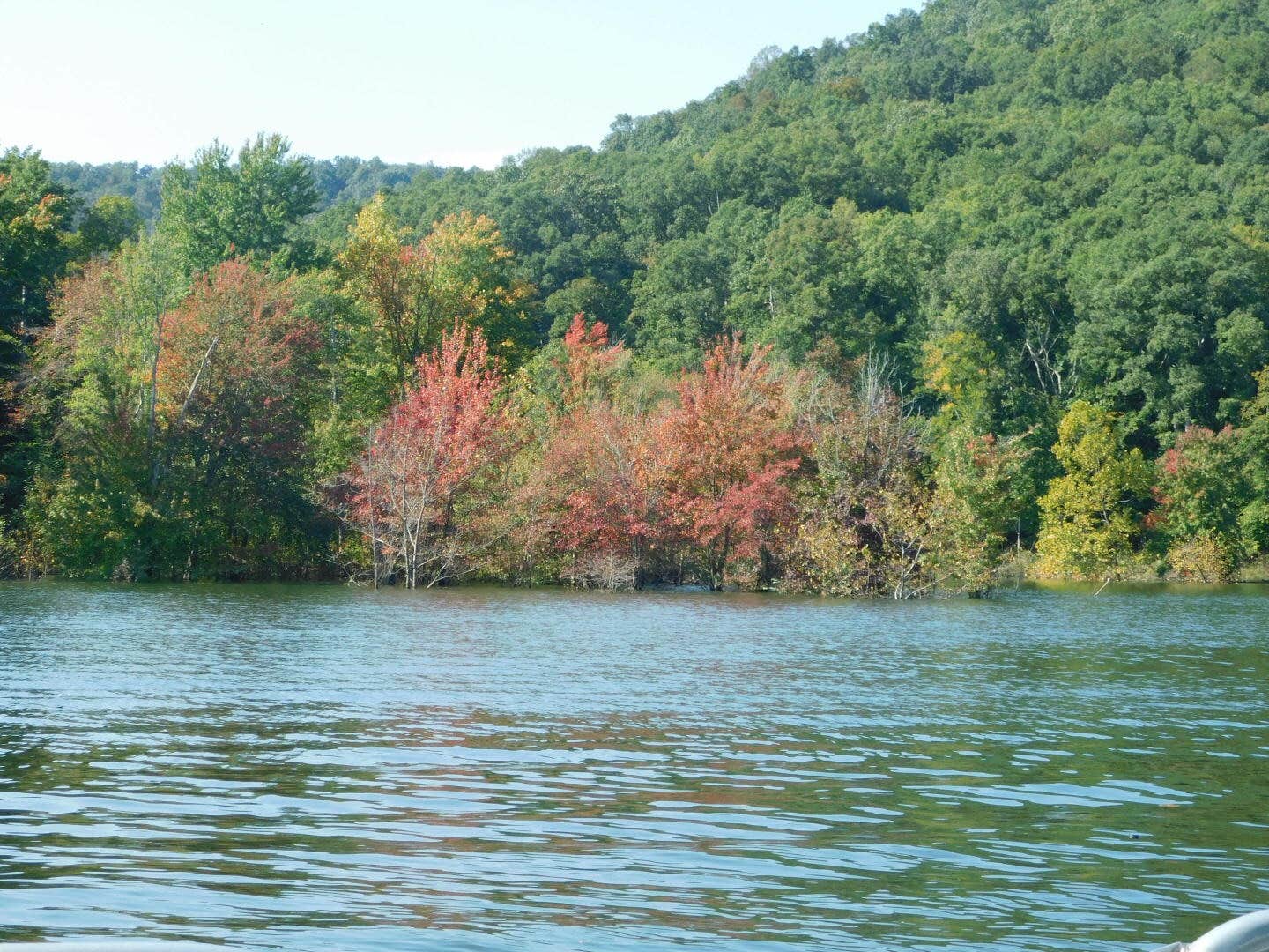 Cave Run Lake The Dyrt