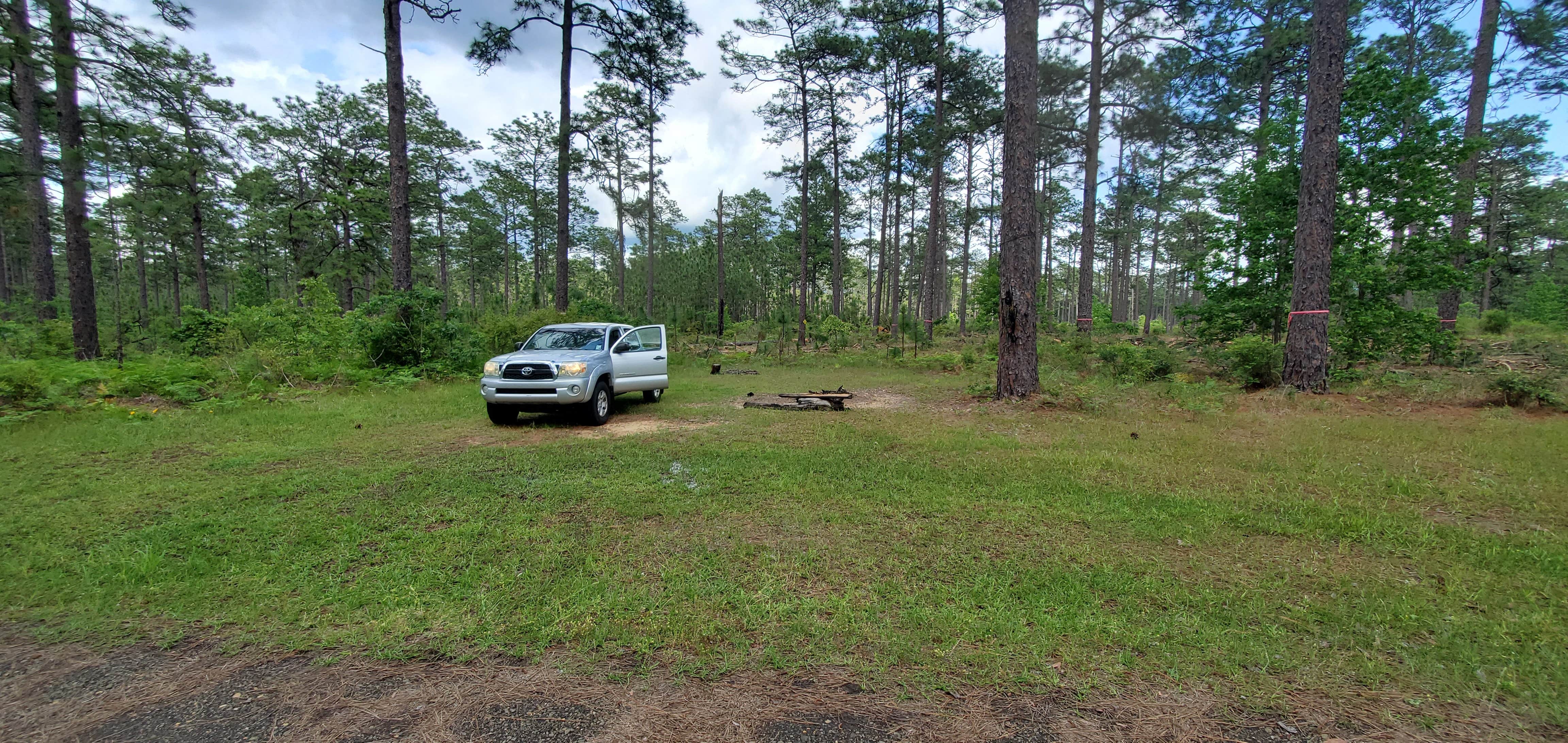 Camper-submitted photo at Hunters Camp - Calcasieu Ranger District near Lecompte, LA
