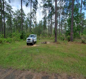 Camper-submitted photo from Hunters Camp - Calcasieu Ranger District