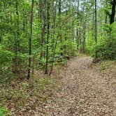 Review photo of Hunters Camp - Calcasieu Ranger District by Conrad V., May 13, 2023