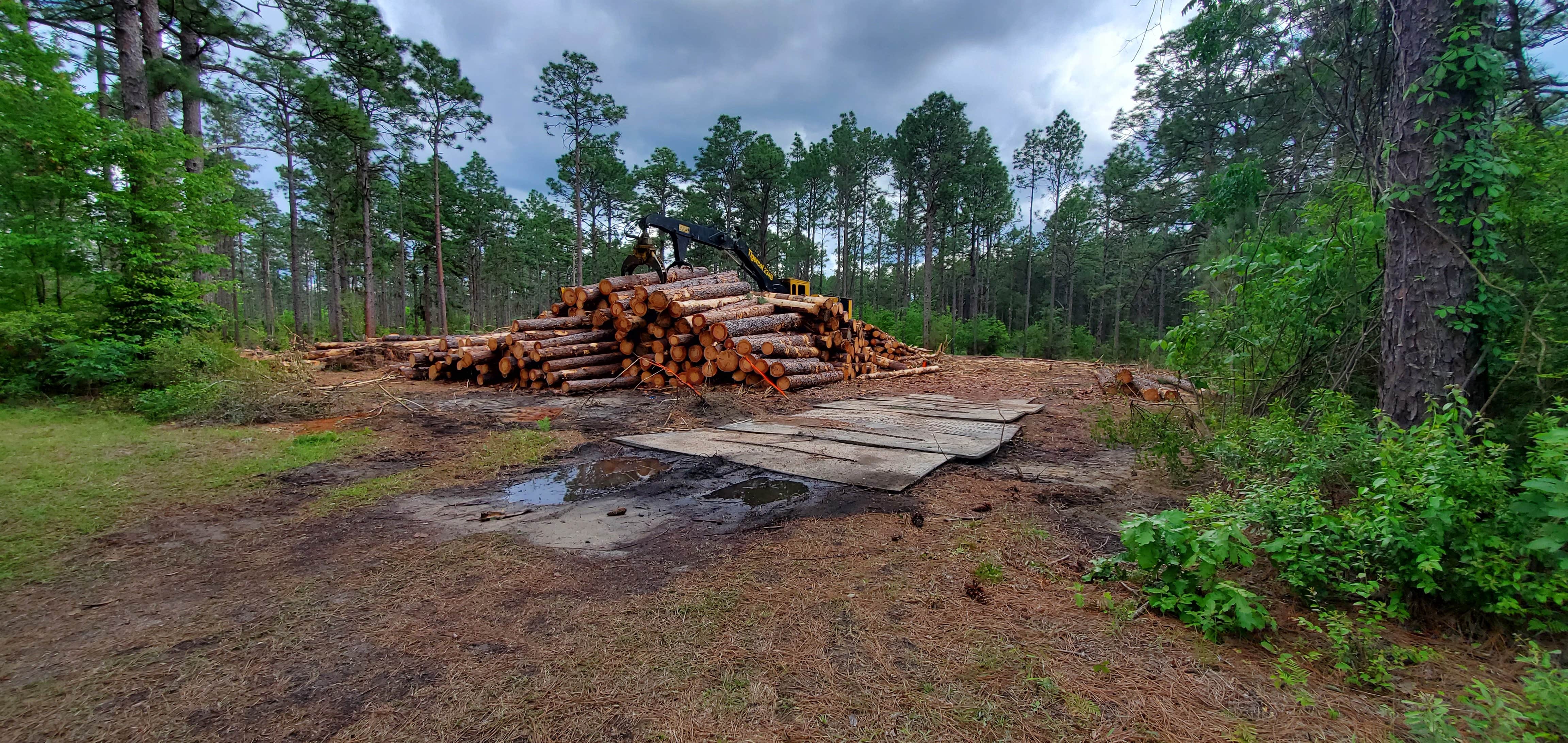 Camper-submitted photo at Hunters Camp - Calcasieu Ranger District near Lecompte, LA