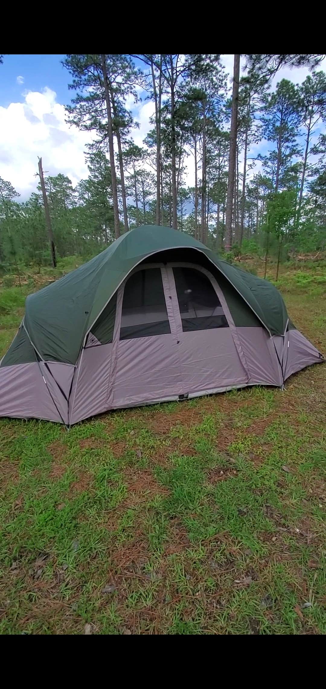 Camper-submitted photo at Hunters Camp - Calcasieu Ranger District near Lecompte, LA