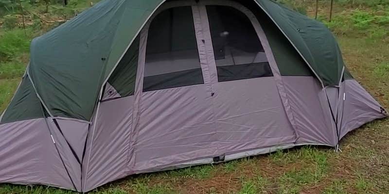 Camper submitted image from Hunters Camp - Calcasieu Ranger District