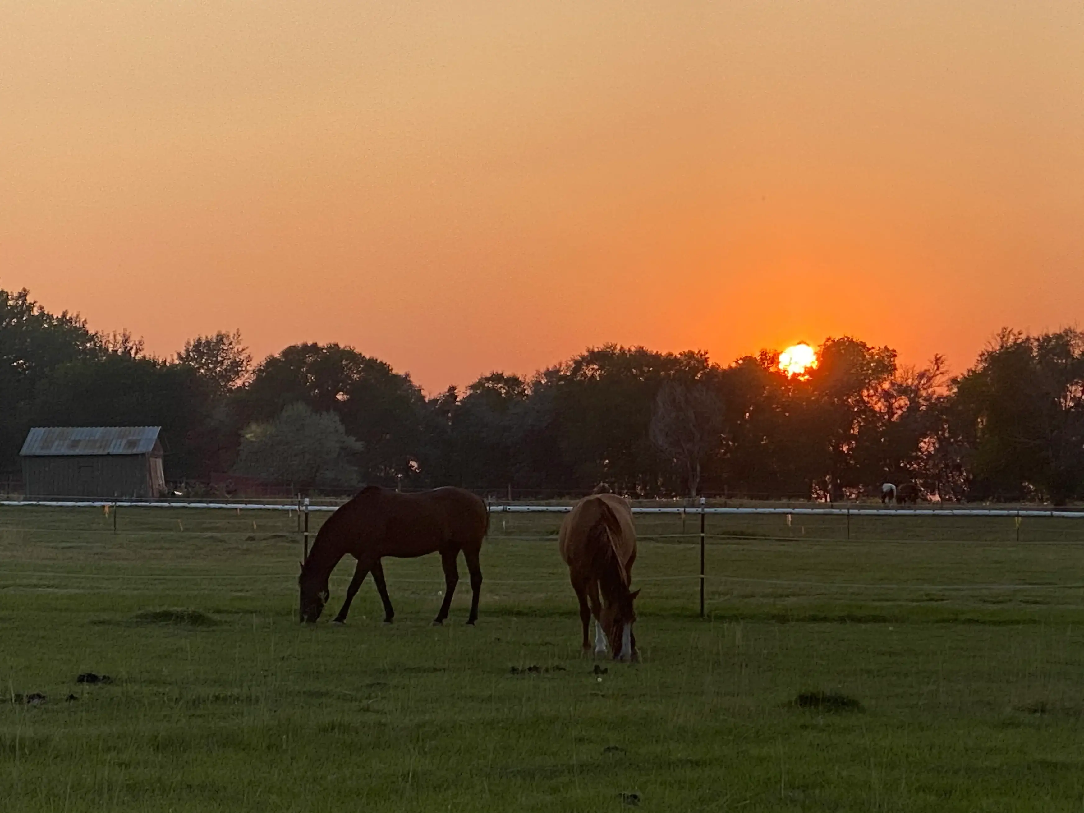 Camper-submitted photo at Western Skies Rv and Equine Park near Thermopolis, WY