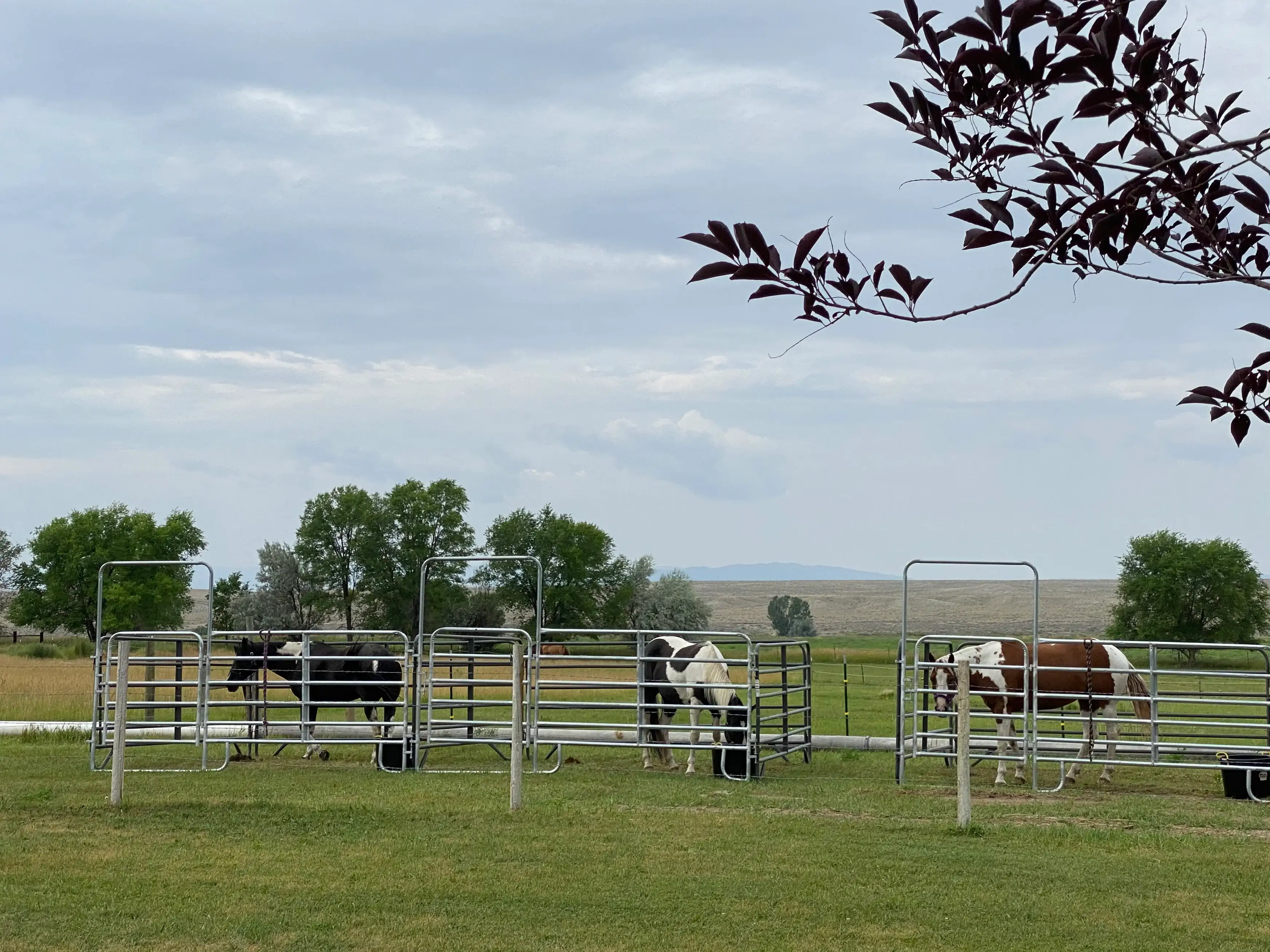 Camper-submitted photo at Western Skies Rv and Equine Park near Thermopolis, WY