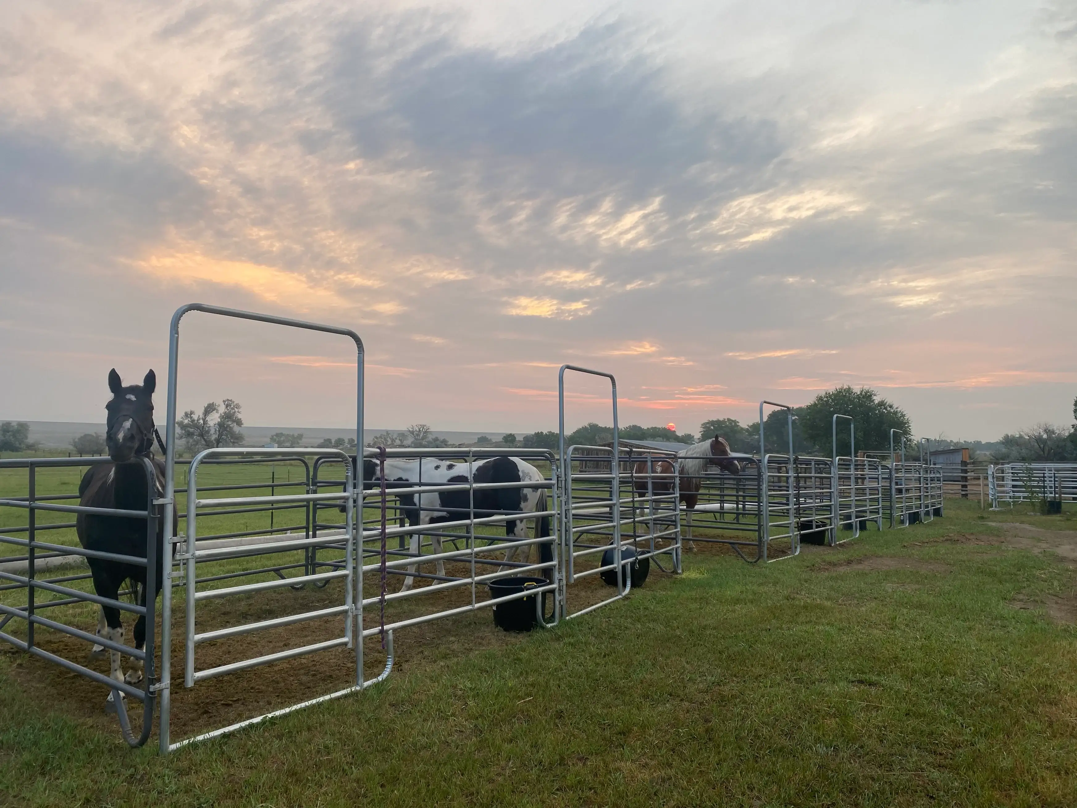 Camper-submitted photo at Western Skies Rv and Equine Park near Thermopolis, WY