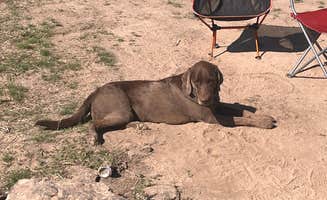 Syd S.'s photo of camping with pets at Cauldron Linn BLM Dispersed near Burley, ID