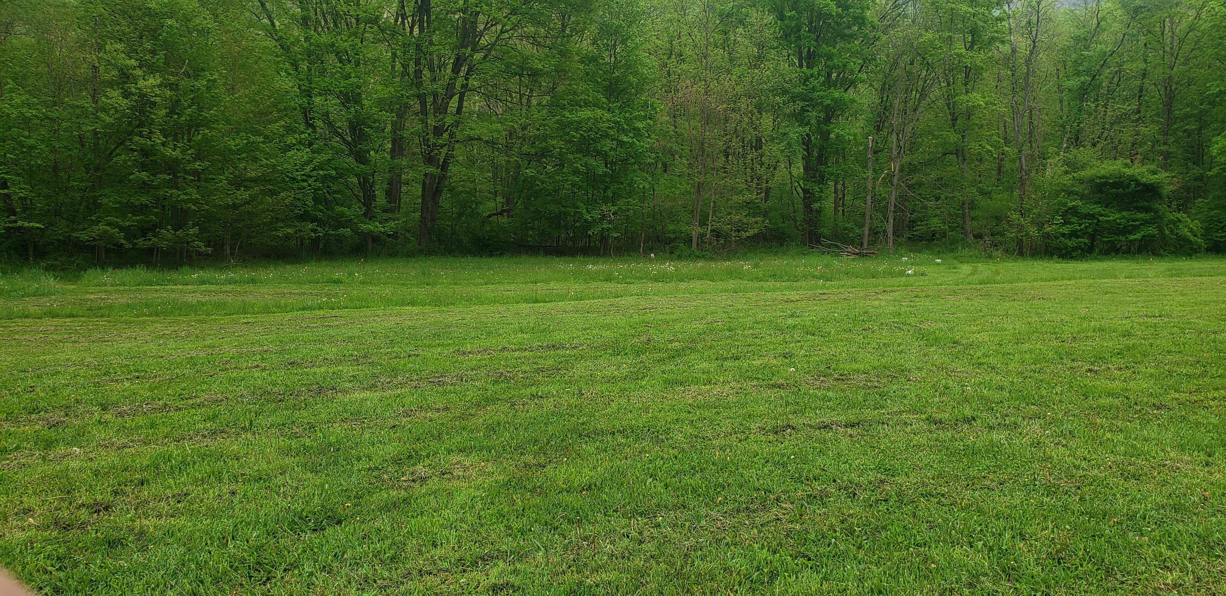 Camper-submitted photo at Pat's Primitive Place near Duncansville, PA