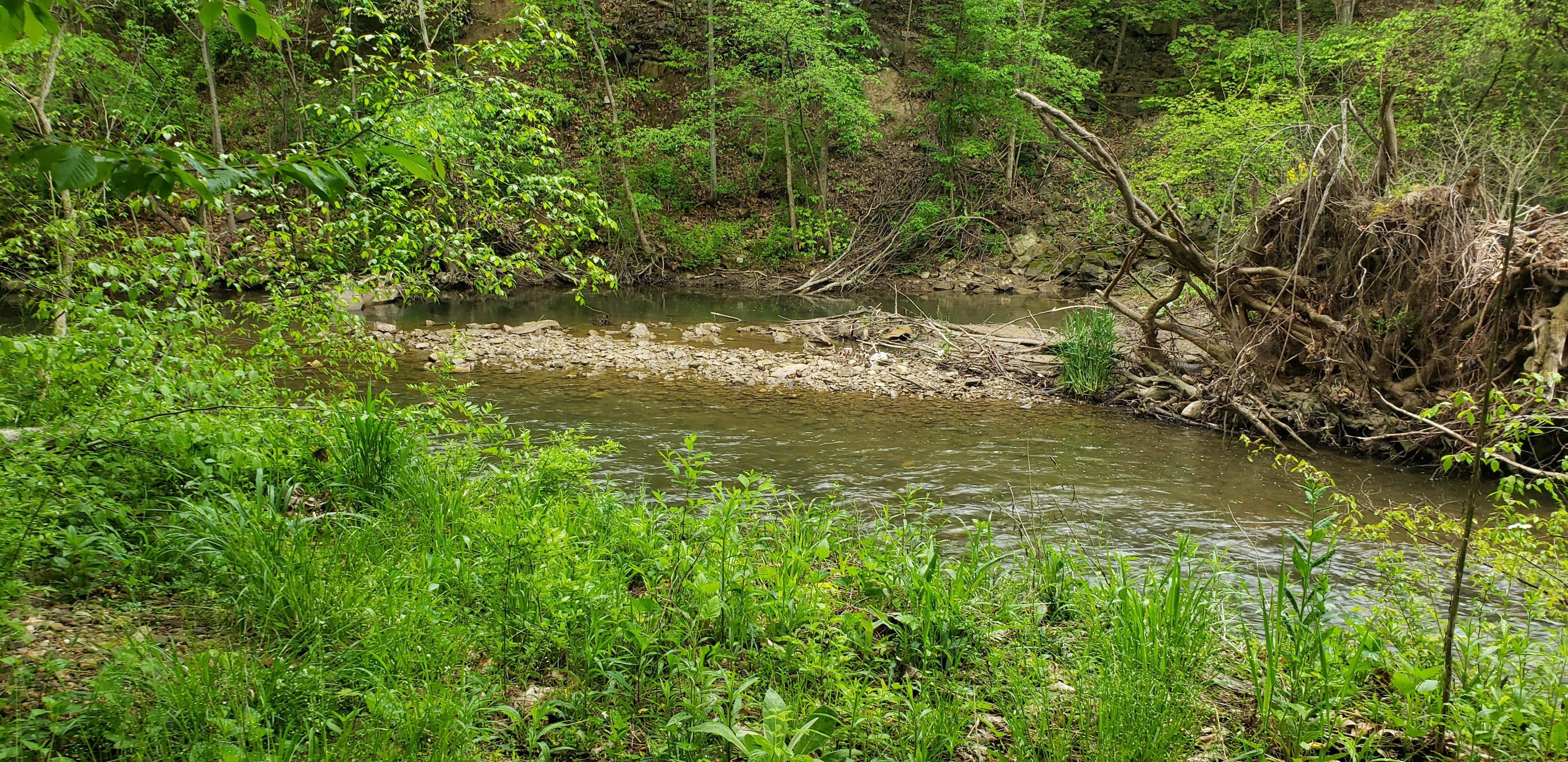 Camper-submitted photo at Pat's Primitive Place near Duncansville, PA