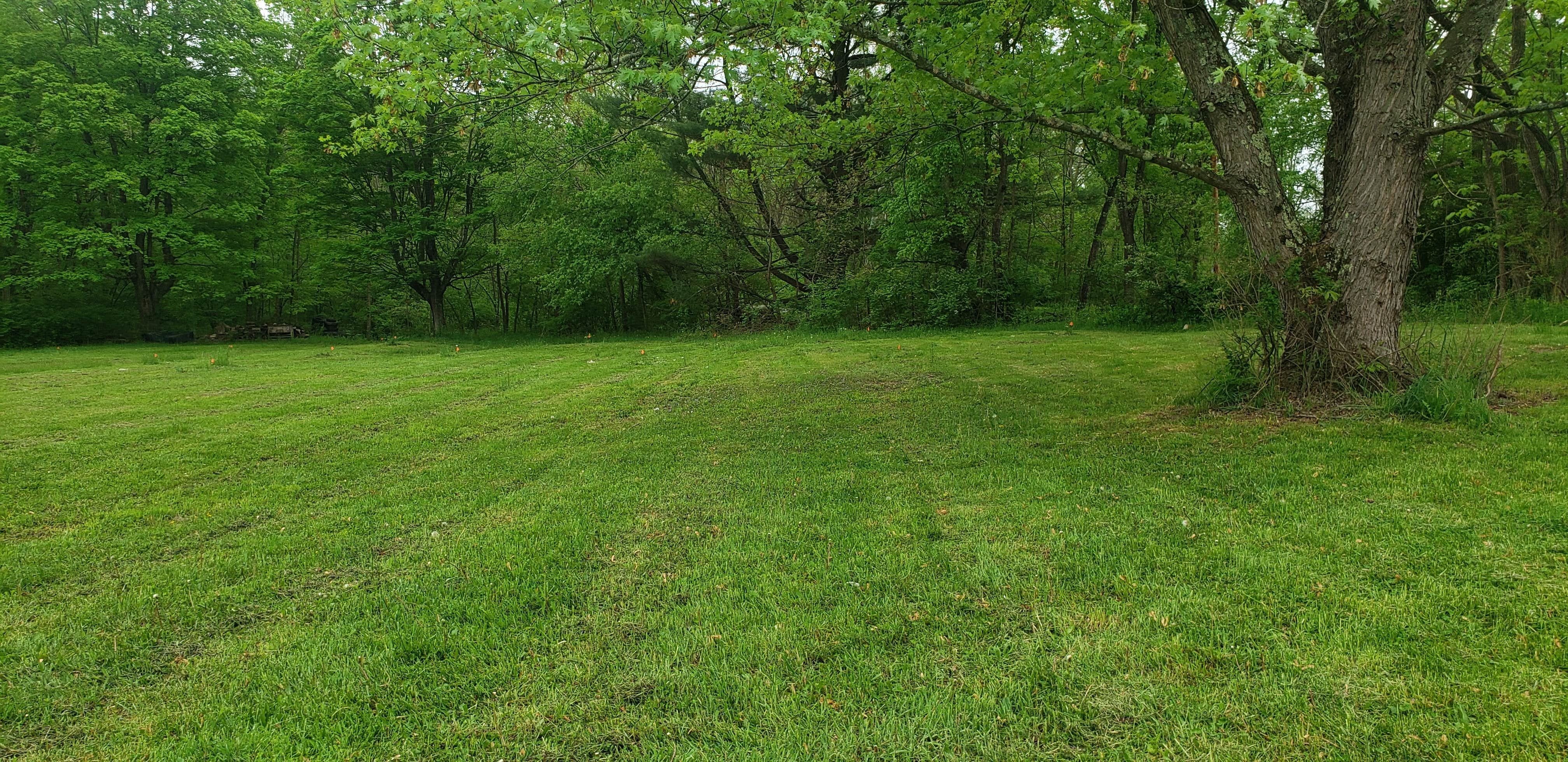 Camper-submitted photo at Pat's Primitive Place near Duncansville, PA