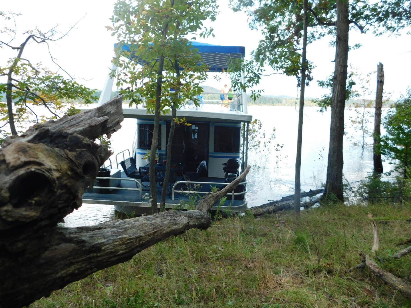 Camper-submitted photo at Cave Run Lake near Denniston, KY