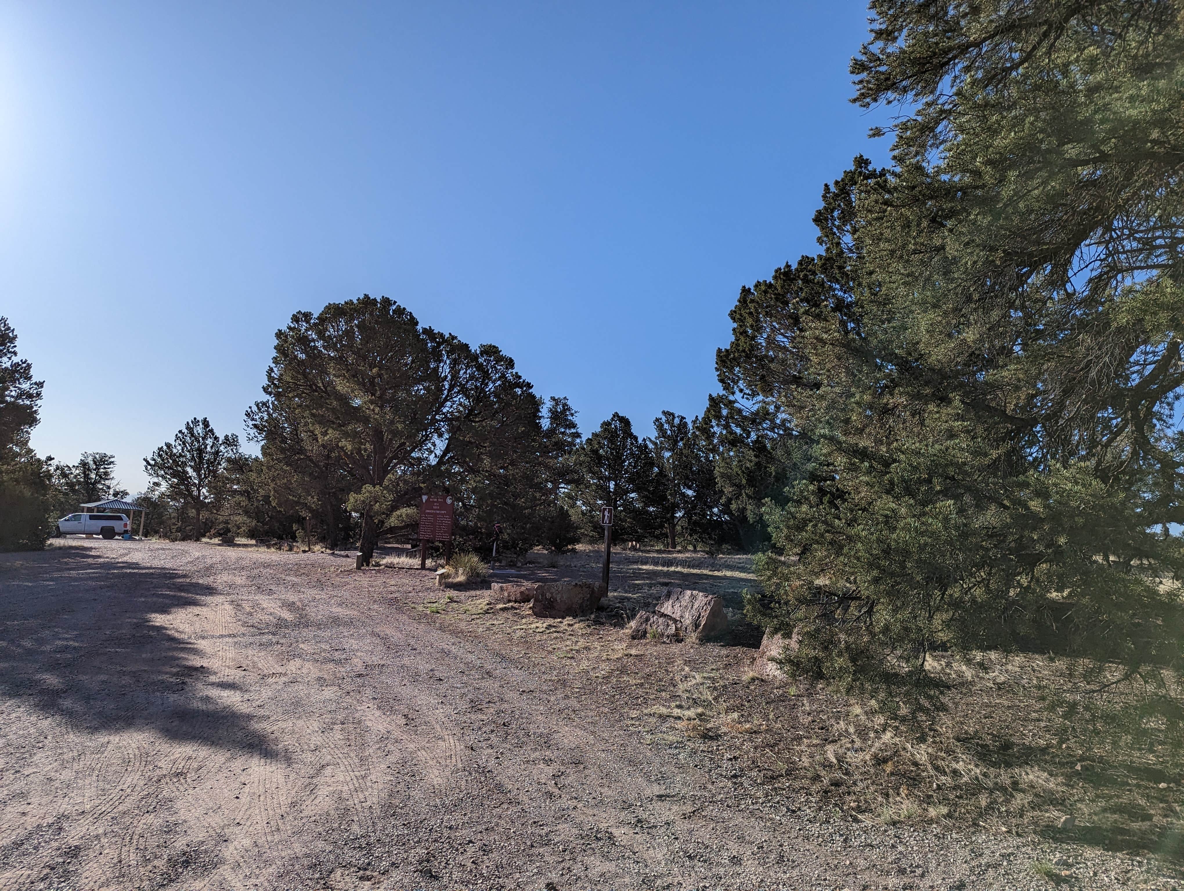 Camper submitted image from Datil Well Recreation Area Campground - 2