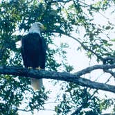 Review photo of Cave Run Lake by Todd C., October 10, 2018