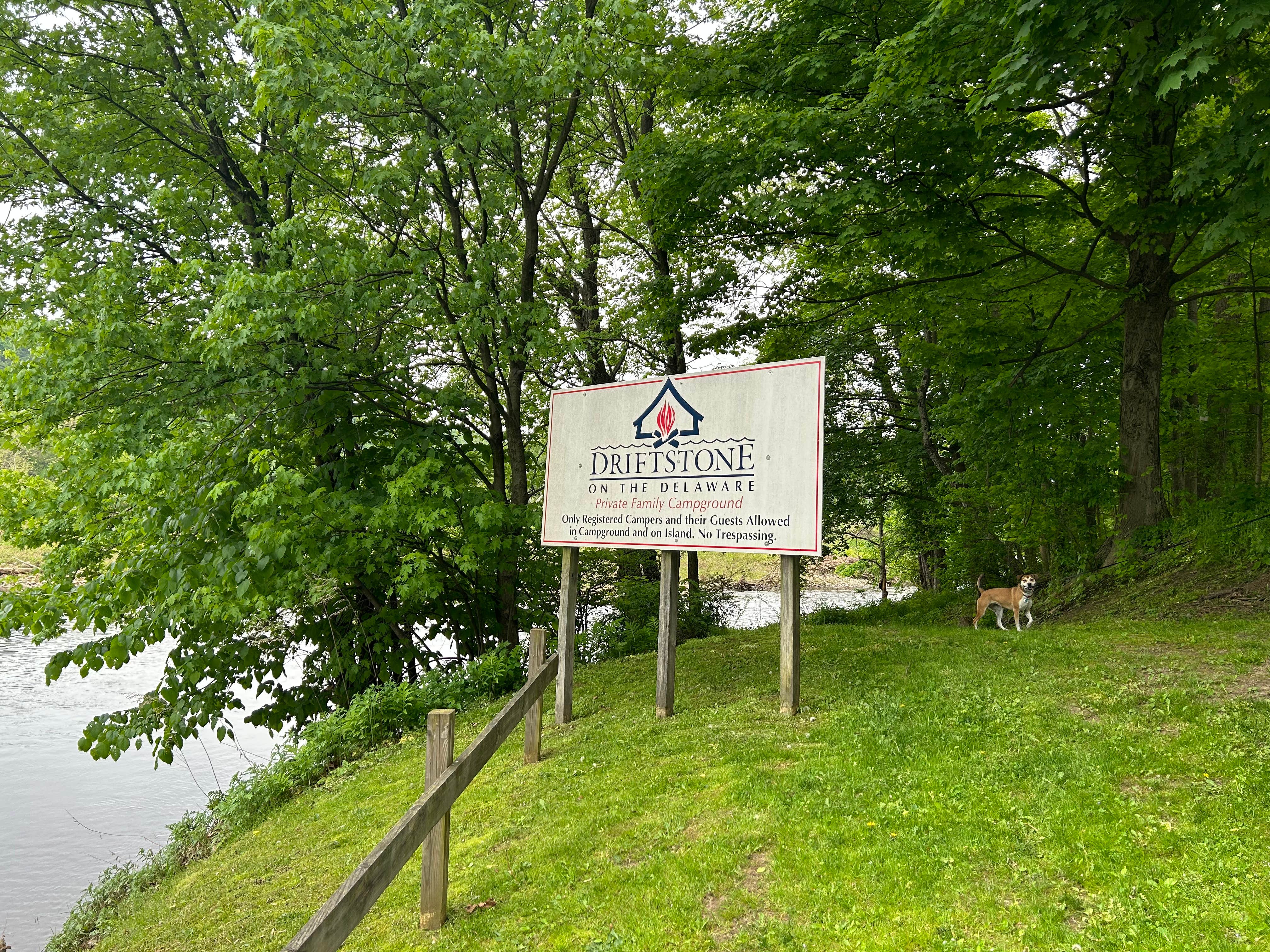 Luis B.'s photo of camping with pets at Driftstone Campground near Neshanic Station, NJ